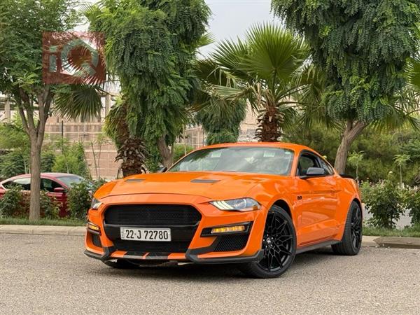 Ford for sale in Iraq